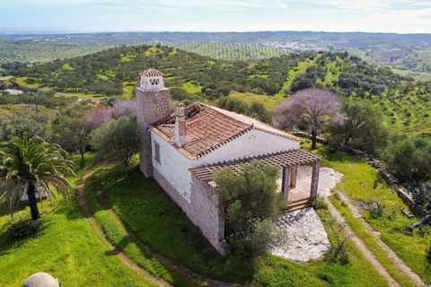 Investment Opportunity: Enchanting 64ha Mixed Plot with Urban Potential and Agricultural Riches! Discover the untapped potential of this captivating 64-acre mixed plot in the heart of Azinhal, Council of Castro de Marim - Algarve. Tailored for astute...