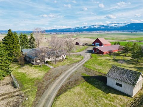 A spacious 20-acres near Grangeville, Idaho, offers an abundance of room to enjoy the rural surroundings. This single with below grade home offers 4 bedrooms, 2 bathrooms and a partially finished basement. With approximately 3200+/- square feet of li...