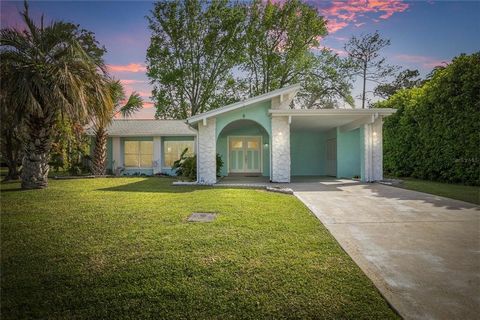 Picture yourself in this adorable fully renovated, sunny and comfortable Palm Coast “beach home” at 8 Ferdinand Lane. Whether this is your primary, secondary or investment home you'll love every second you spend here. All the work has been done for y...