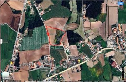 The present plot located a few meters from the church of Macieira da Maia has a PIP approved for 14 two-storey, single-family houses with two parking spaces. The intention is part of the Municipal Master Plan and Municipal Regulation of Urbanization ...