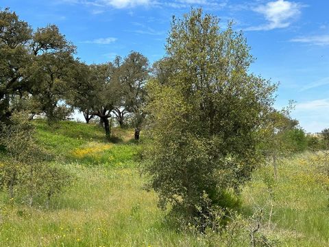 Discover the high zone of the Cercal Mountain, 150 meters high, where nature is in perfect harmony with incredible opportunities for development. This 192 hectare property offers a fresh and humid microclimate, ideal for the implantation of several a...