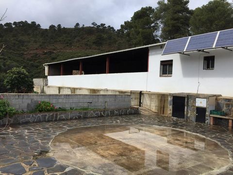 An incredible plot deep in the hills of Tolox. Be one with nature in this one bedroom finca in Inland Malaga. Attached to a huge 300m2 warehouse suitbaale for animals, now currently house sheep, this lucious plot of land is the a nature lover's ...