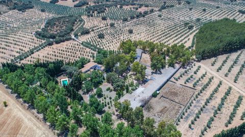 Fantastically Elegant Finca Between Archidona and Villanueva de Tapia, which is Totally Fenced/ Walled. The Finca and Dwelling Feature Total Privacy, and Yet is Only Four minutes from the Motorway and Equidistant between Malaga and Granada Airports.....