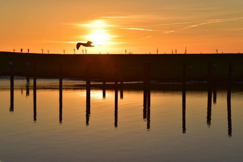 Ferienhaus „Nordsee süchtig“ !!! 2021 komplett saniert und neu möbliert 1 Carport inkl. Wallbox und zwei weitere PKW-Stellplätze Großer verschließbarer Abstellraum inkl. E-Bike Ladestation. Süd - Terrasse - nicht einsehbar und komplett abgeschlossen,...