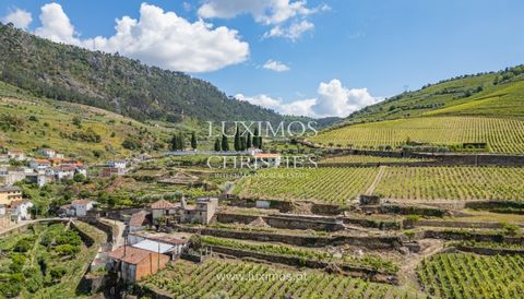 Im Dorf Valdigem , in Lamego, im Herzen und in der Wiege der abgegrenzten Douro-Region gelegen, ist es ein Ort, der von der Geschichte der Anfänge der portugiesischen Nationalität und dem Aufbau der Weinregion durchdrungen ist. Die Quinta liegt an de...