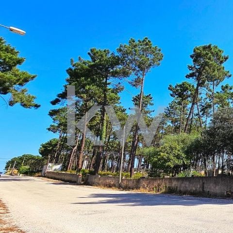 Si estás buscando un terreno para subdividir y construir casas, en una ubicación privilegiada, ¡este terreno es para ti! Este terreno en Rua Abel Manta, en el corazón de Aroeira, tiene una superficie total de 5.040 m2. Con proyecto de adjudicación, q...