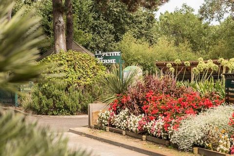 De Moliets - maeva Home Residence ligt in het hart van het dennenbos, aan de rand van de 27-holes golfbaan die afdaalt naar de oceaan. U kunt te voet of met de fiets de zee bereiken, op slechts 1,5 km afstand. Moliets staat bekend om zijn stranden en...