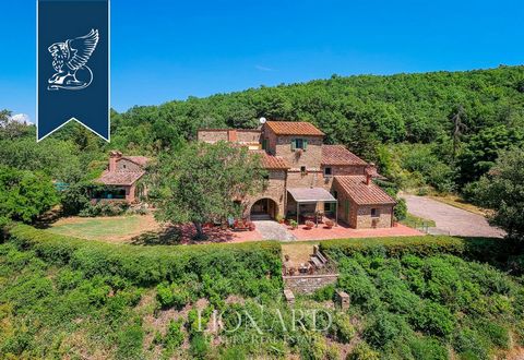 En splendide position panoramique sur les collines autour d'Arezzo, au cœur de la Toscane, cette ferme toscane caractéristique à vendre avec annexe offre loisirs et détente dans le grand jardin avec oliveraie, piscine panoramique et court de ten...