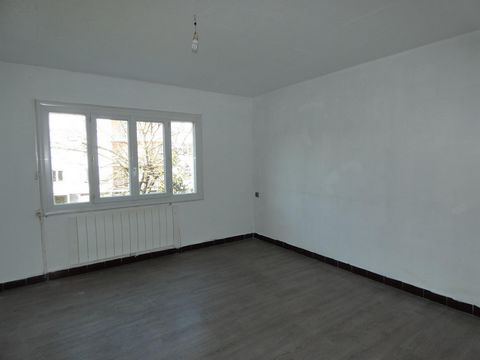 photo no. 7