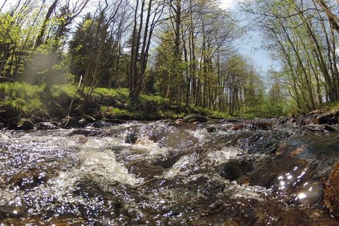 Het gezellige vakantiehuis met een gezellige feel-good sfeer ligt in een vakantiecomplex aan de rand van het kleine stadje Hasselfelde in de Harz. Het gezinsvriendelijke vakantieoord biedt de perfecte basis voor een afwisselende tijd met het hele gez...