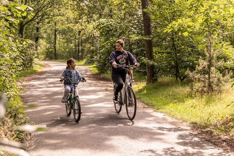 Ce bungalow indépendant avec sauna est situé dans le parc de vacances boisé et spacieux Parc Heihaas. Il est situé en bordure du village de Putten, à la frontière de la Veluwe et de la vallée de la Gueldre. Le bungalow de plain-pied est entièrement e...