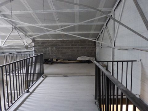 photo no. 11