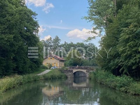 Vivir cerca de la naturaleza en Schwarzenbach: aquí es donde podría ubicarse su nueva casa Una fantástica parcela edificable en Schwarzenbach, Burgthann, ofrece la oportunidad única de realizar su nuevo hogar. Con la licencia de obras ya en marcha y ...