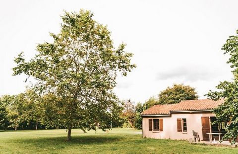 Der Moncontour Active Park ist ein grüner Campingplatz in Poitou-Charentes in Vienne. Es liegt ideal in der Nähe eines Freizeitzentrums und des Futuroskops. Der Campingplatz bietet geräumige und komfortable Ferienhäuser. Die 23 Unterkünfte (Chalet od...