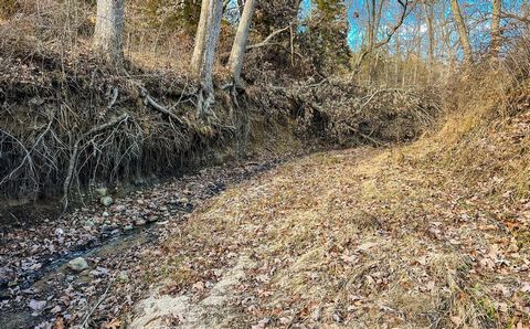 Located in Mercer County, MO in the heart of big buck country, The White Oaks Timber is 40+/- acres with brushy draw and ponds that offer incredible habitat to grow and hold big deer. There is also a 14x40 hunting cabin that has 2 bedrooms, 1 bathroo...