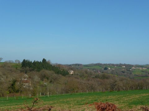 photo no. 35