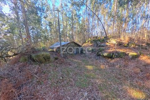 Identificação do imóvel: ZMPT573335 Land with Traditional Portuguese 'Corte de Chão de Castro' for Renovation in Gondoriz, Terras de BouroWe present a unique opportunity to acquire a rustic plot featuring a traditional 'Corte de Chão de Castro,' idea...