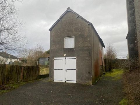 photo no. 7