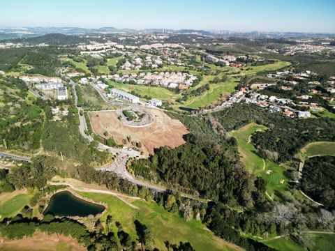 Grundstück mit 10.006m2 für wirtschaftliche Aktivitäten in Belas Clube de Campo. Grundstück an der Grenze von Belas Clube de Campo, neben dem Eingangseingang an der EN117. Mit der Möglichkeit der Stadtentwicklung in Übereinstimmung mit dem Stadtplan ...