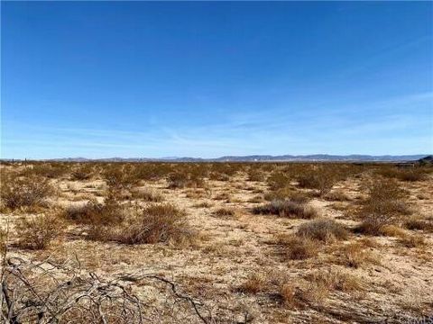 Discover your desert sanctuary on 2.2 acers of flat, buildable land with breathtaking views of the mountains and desert peaks. Water nearby in neighbors' lot and electric is two poles away. Enjoy majestic sunrises and sunsets, creating a perfect retr...