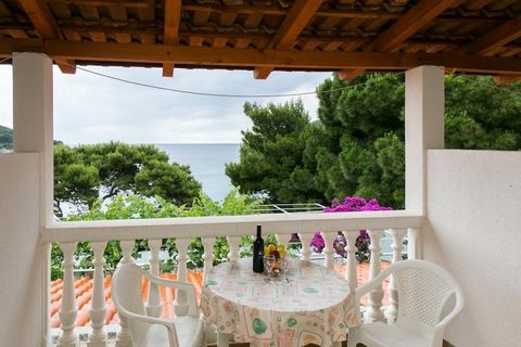 Boasting splendid sea view and enjoying a quiet setting just 15 meters from the beach, Apartments Franka Saplunara are located in the small village of Saplunara on Mljet Island. Kindly note: Free private parking is provided. Owners can offer you wash...