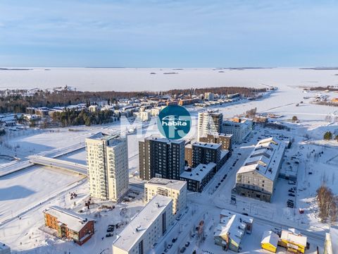 Пожалуйста, свяжитесь с торговым представителем для получения более подробной информации об этом свойстве.