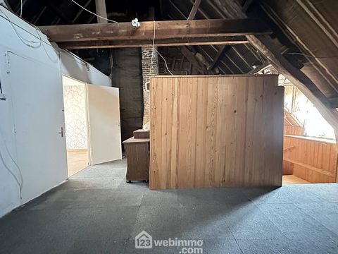photo no. 10