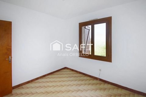 photo no. 2