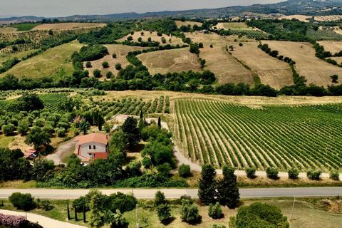 Na área montanhosa da Maremma, a 250mt acima do nível do mar, no município de Scansano, ergue-se esta típica casa de fazenda toscana com quinze hectares de terra. Originalmente construída na década de 1950, a quinta foi renovada pelos atuais propriet...