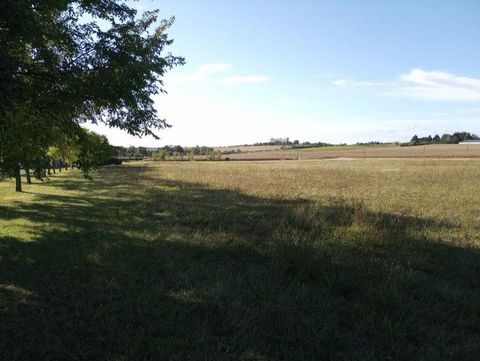 photo no. 2