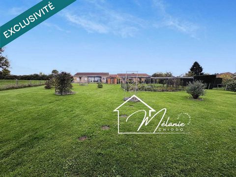 Magnifique Terrain à bâtir plat borné clos 1175m²