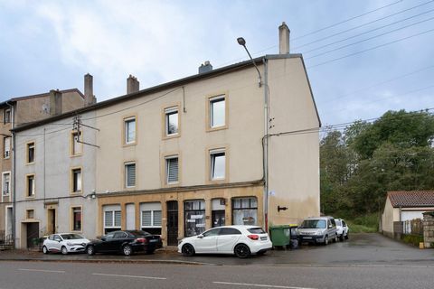 Immeuble de rapport de 3 appartements (T2 et 2 T4) et 1 local commercial, jardin, caves et garages